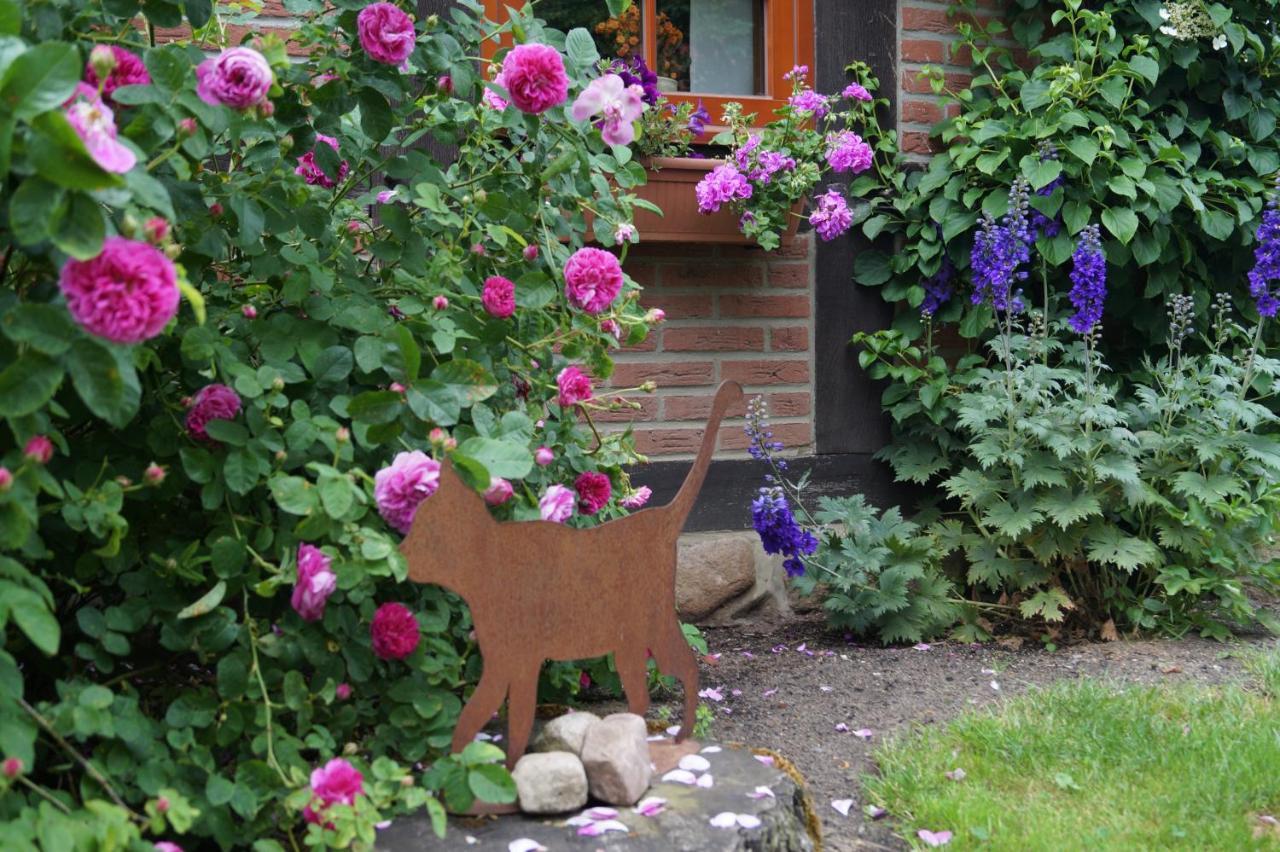 Ferienhaus Siemer Gilten エクステリア 写真